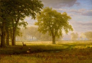 Alce a Oak Grove (Tuolumne Meadows) da Albert Bierstadt