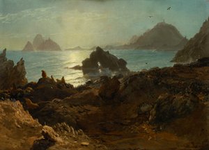Isole Farallon, Oceano Pacifico, California da Albert Bierstadt