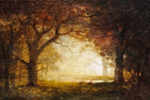 Alba nella foresta da Albert Bierstadt