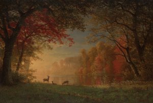 Tramonto indiano: cervi vicino a un lago da Albert Bierstadt