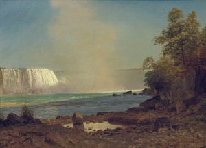 Cascate del Niagara, 1863