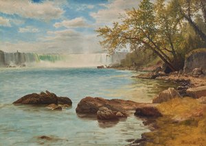 Cascate del Niagara con Terrapin Tower