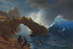 Le foche sulle rocce da Albert Bierstadt