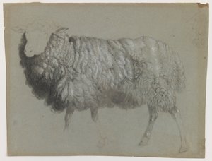 Studio di una pecora, c.1855