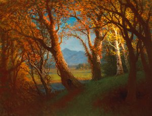 Tramonto nel territorio del Nebraska da Albert Bierstadt