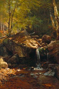 Cascata Thompson, Montagne Bianche da Albert Bierstadt
