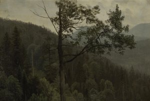 Montagne coperte di alberi da Albert Bierstadt