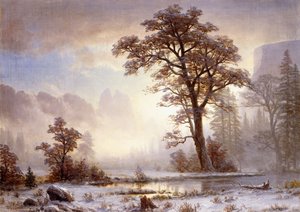Valle dello Yosemite - Nevicata