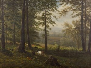 Vista su una radura da Albert Bierstadt