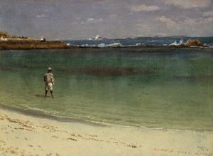 Scena della costa delle Indie occidentali, 1880-93 circa (olio su carta montata su pannello di fibra) da Albert Bierstadt
