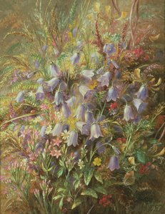 Campanule e altri fiori e erbe del bosco da Albert Durer Lucas