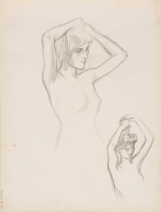 Nudo da Albert Edelfelt