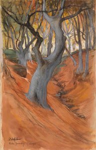 Foresta di faggi da Albert Edelfelt