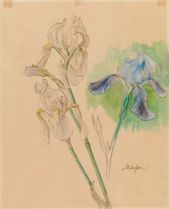  da Albert Edelfelt