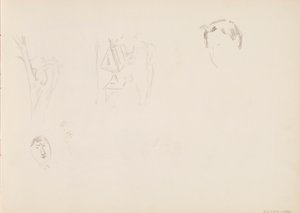 Bozze di piante, tronchi d