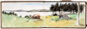 Senza titolo da Albert Edelfelt