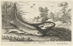 Tre cavedani su una riva (Cephalus. Le Meunier.) (Pesci e altri animali marini - prima serie) (Diverses Especes de Poissons d