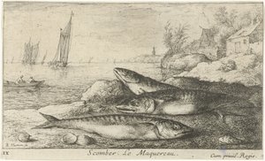Tre sgombri sulla spiaggia da Albert Flamen