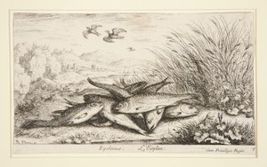 Epelanus, L da Albert Flamen