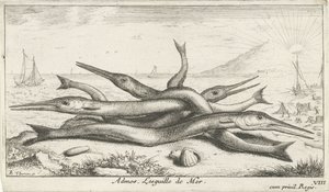 Pesci sulla spiaggia da Albert Flamen