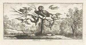 Paesaggio con gufo tra altri uccelli da Albert Flamen