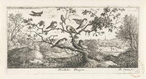 Paesaggio con beccacce (libro degli uccelli) da Albert Flamen
