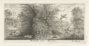 Paesaggio con beccaccino da Albert Flamen