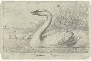 Paesaggio con cigno da Albert Flamen