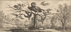 Monedula, Chouette Il gufo: Livre d