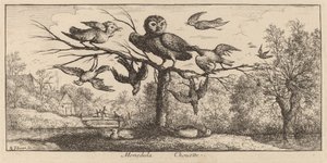 Monedula, il gufo da Albert Flamen