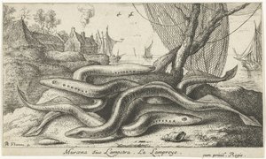Lamprede su una riva da Albert Flamen