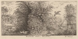 Rusticula minor, il beccaccino da Albert Flamen