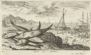 Sardine sulla spiaggia