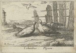 Due colombe vicino a una recinzione da Albert Flamen