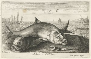 Due pesci di maggio sulla spiaggia (Vissen en andere zeedieren - zoutwater tweede reeks, Poissons de mer)