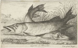 Due lucci su una riva del fiume da Albert Flamen