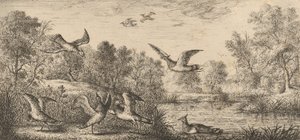 Vanellus, Vanneau: Libro degli uccelli, 1655-1660
