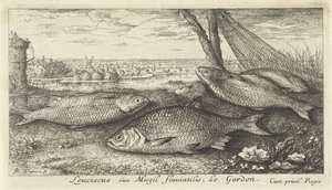 Quattro cavedani vicino a una rete da pesca da Albert Flamen