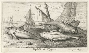 Quattro triglie rosse sulla spiaggia da Albert Flamen