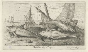 Quattro triglie rosse sulla spiaggia (serie Vissen en andere zeedieren - zoutwater tweede reeks, Poissons de mer)