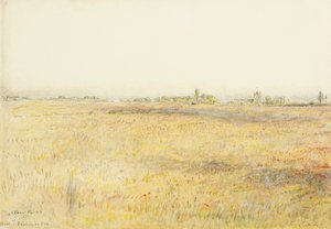 Campi di grano, Hooe. Bexhill sul mare