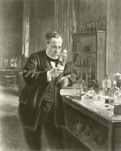 Il dottor Louis Pasteur nel suo laboratorio da Albert Gustaf Aristides Edelfelt