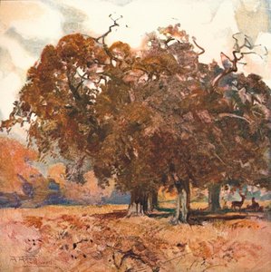 Paesaggio, c. 1904