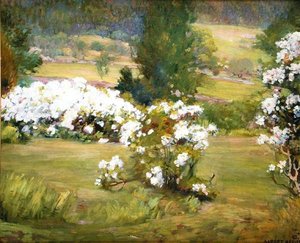 Fiori in fiore, c.1925 da Albert Herter