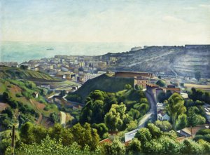 Periferia di Algeri da Albert Marquet