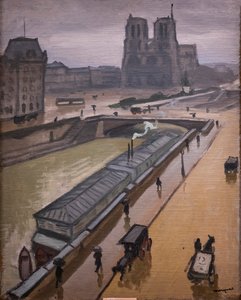 Giorno di pioggia. Notre-Dame de Paris