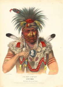 Ne-Sou-A Quoit, un Capo Volpe da Albert Newsam, after Charles Bird King