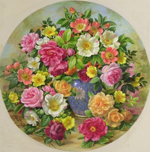 Omaggio alla Rosa Selvatica