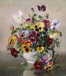 Natura morta con viole del pensiero da Albert Williams