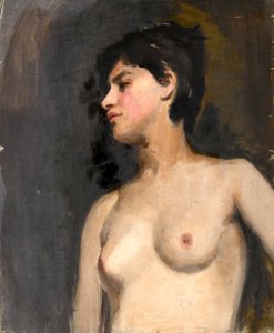 Mezzo nudo femminile. Sfondo nero. Ca. 1880
